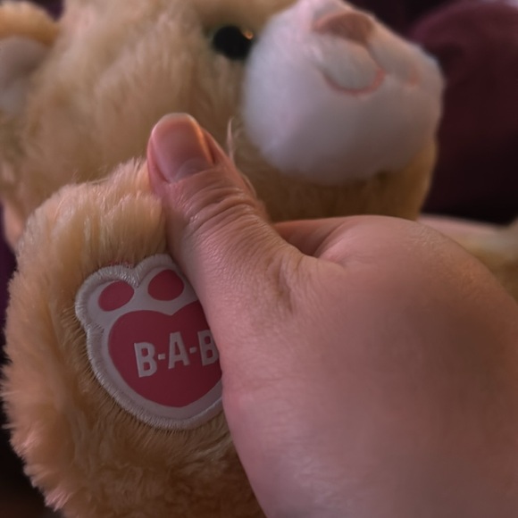 Build a bear cat brand new - Picture 2 of 3